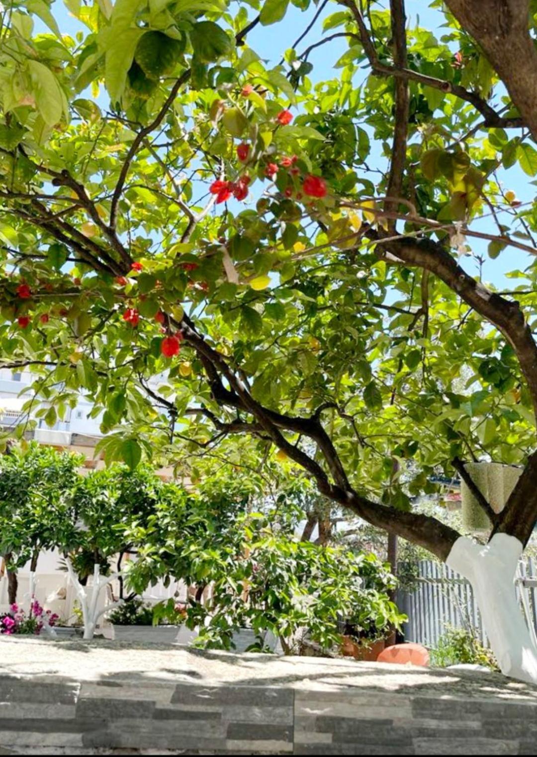 Sala Apartment'S Sarandë Eksteriør bilde